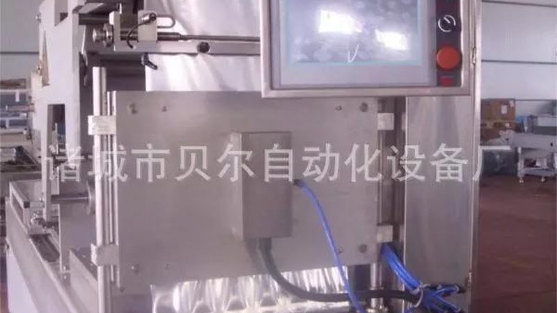 食品行业全自动装箱机厂家